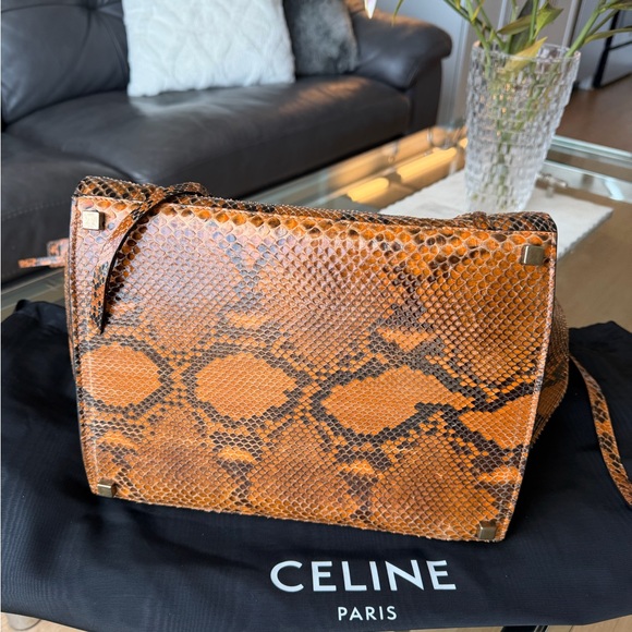 Celine Python Phantom - Picture 2 of 5